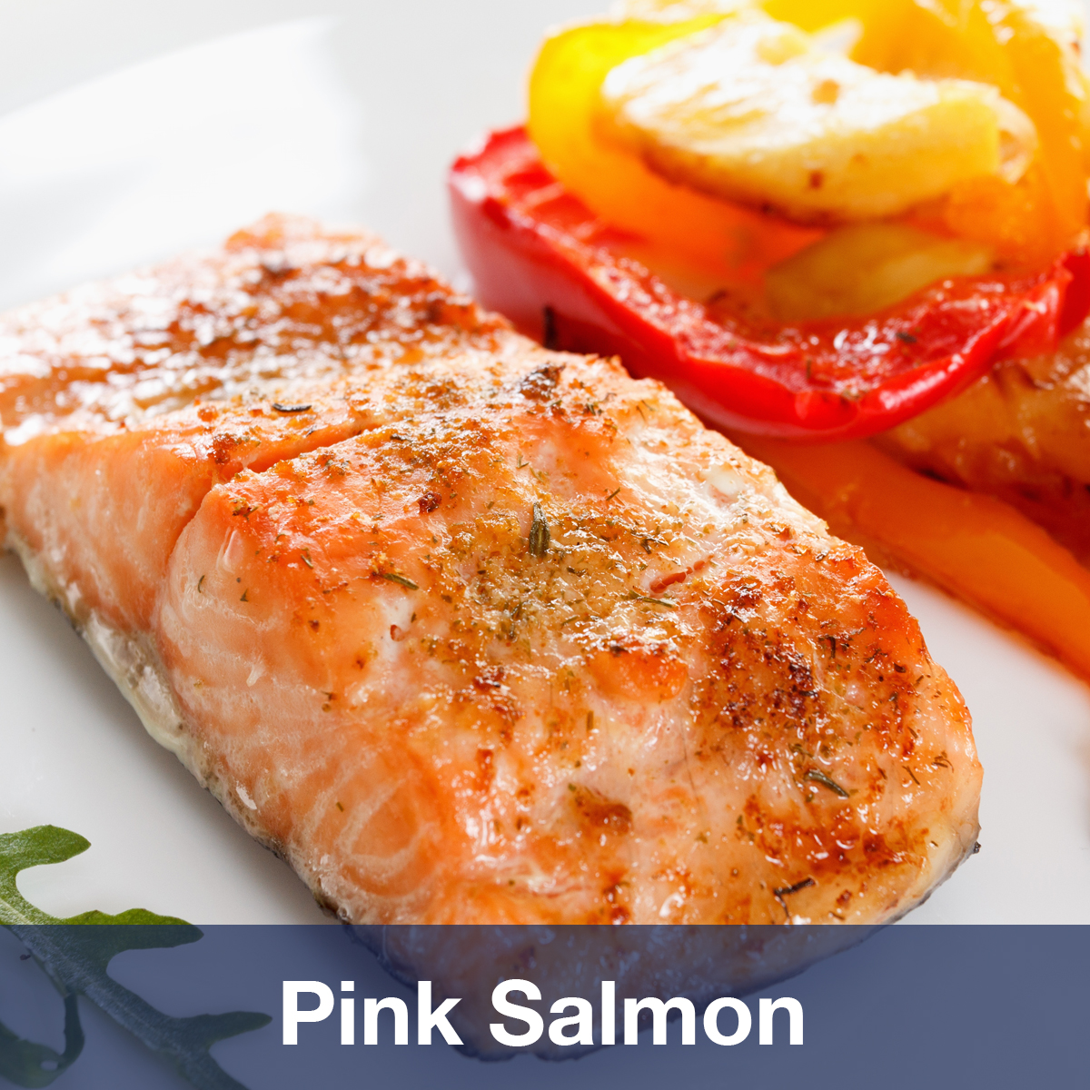 Pink Salmon – The Fishin' Co.